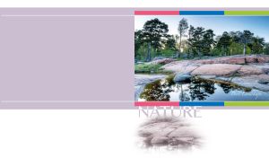 Green forest grows by gray stones on a pastel purple panel on a white background