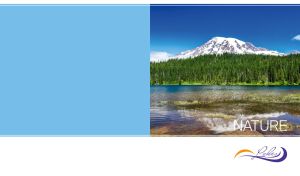 Green spruce forest on the blurry lake against a mountain with a snowy peak