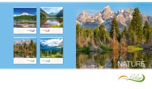 Dry and green spruce trees against the mountains reflected in the mountain lake