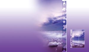 Nature's Vignette Visions | Tonal Waterscape Arts | Split Lay