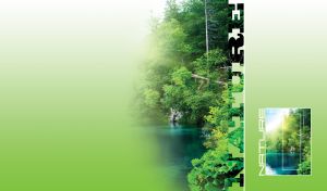 Rock by the blue lake hidden in the dense trees on a green vignette background