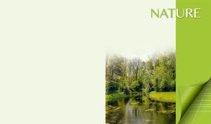 Backwater landscape against the pastel green backdrop with lime panel on the right