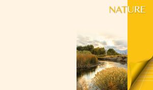 River bend landscape against the pastel yellow backdrop with a yellow panel on the right