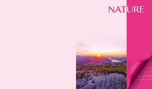 Shallow pond landscape against pastel pink backdrop with a pink panel on the right