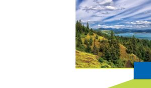 Elevated view of a mountain forest by a lake in a frame on a white background