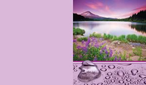 Violet flowers on a lake shore on a purple backdrop with a water drop pattern