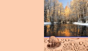 Frosty trees by the forest lake on a beige backdrop with a water drop pattern