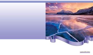 Nature scenery of a frozen mountain lake at dusk on a violet gradient