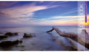 Fallen tree and mossy rocks in a milk fog against the purple-blue sunset