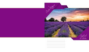 Sunset in a lavender field in a purple ribbon frame and a white backdrop