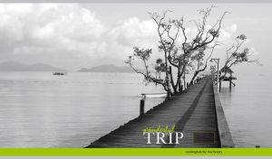 Monochromatic seascape of a wooden dock and trees against calm water