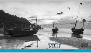 Monochromatic seascape of moored fishing boats on the sandy shore