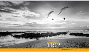Monochromatic seascape of paramotorists flying over the coastline