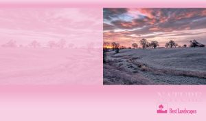 Best Landscapes | Nature's Palette of Dusk on Pastel