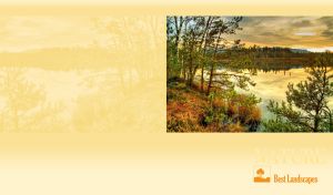 Lake hidden behind the trees of a coniferous forest on pastel yellow backdrop