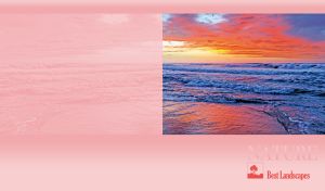 Foamy waves of a sunset ocean on pastel pink backdrop