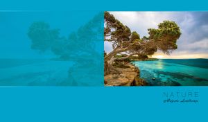 Majestic landscape of an old tree on a rocky cliff over a sea on a blue backdrop