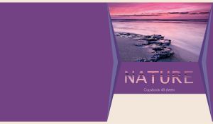 Sunset seascape with rocks in the ocean sand isolated on a purple backdrop