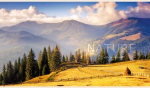 Fir trees and yellow haystack on a hazy foothill field in the daylight