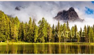 Calm lake, green spruces and a rocky hill shrouded in white mist