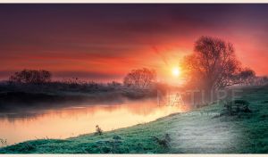 Silhouettes of leafless trees by the river at a purple-red dawn