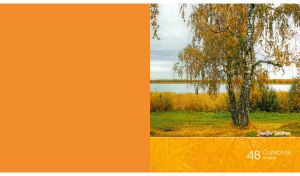 Beautiful landscape of an autumn birch tree by the river on an orange backdrop