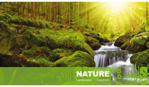 Tranquil Wilderness | Majestic Mountain Landscapes with Leaf Stencil Accents