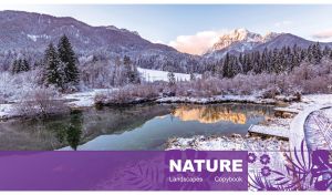 Winter mountain lake and a white dense coniferous forest