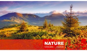Young fir tree in a green foothill valley against mountains and blue sky