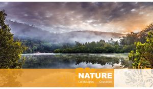 Mist shrouding a lush forest by a lake under a grey, overcast sky
