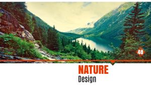 Natural landscape with teal mountain lake in a misty fir forest