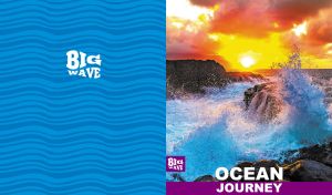 Ocean Journey | Big Wave | Mix of Coastal Scenes
