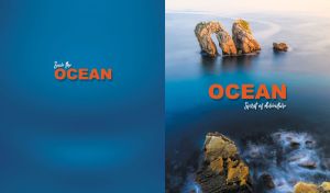 Ocean | Spirit of Adventure | Rock views against monocolor background