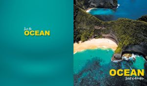 Top view of lush coastal terrain by the ocean on a teal backdrop