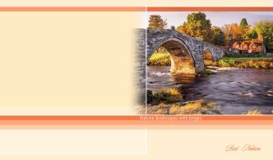 Graceful Arches | Bridges Blending with Majestic Nature Views | on Yellow Beige