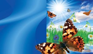 Butterfly Fest | One Sunny Day | On blue and green