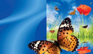 Beautiful butterfly fest with green grass and poppy flower