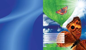 Beautiful butterfly fest with green leaves and water drops