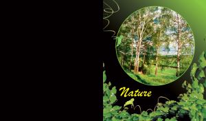 Edge of birch forest with a canal and field round framed, on black green gradient