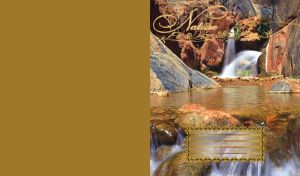 Nature | Seasonal landscapes with gilded dÔøΩcor and tonal back cover