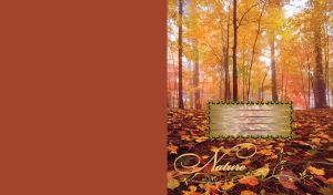 Beautiful autumn golden forest with tall trees rusty yellow leaves on the ground