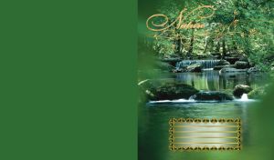 Summer forest waterfall surrounded by green trees panoramic view