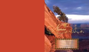 Winter landscape of beautiful green tree overlooking red rock canyon with cloudy sky