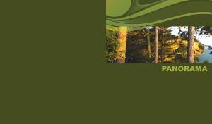 PANORAMA | Panoramic landscapes adorned with abstract pattern on dark monochrome