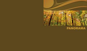 Panorama of golden forest with tall trees, yellow green leaves on brown