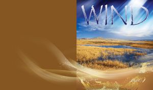 Sunny wind over flooded field of dry grass, hills and few clouds on dark gold theme