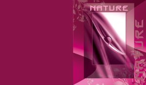 Framed water droplet rolling down on a plum-colored leaf and flower silhouettes