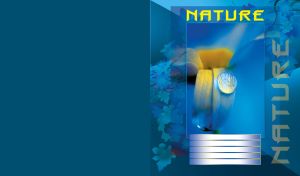 Framed water drop rolling down on a flower petal with leaf silhouettes on navy