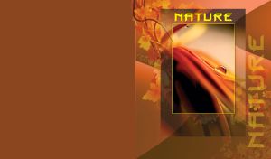 Framed water drop rolling down on orange leaf and leaf silhouettes on brown