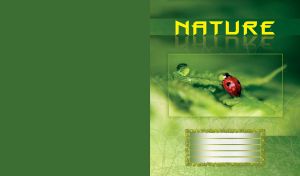 Ladybug on a green leaf with water drop and grass silhouettes on green